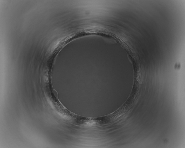 X0000111200547200907151416