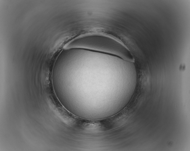 X0000111200548200907151416