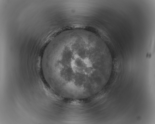 X0000111200550200907151416