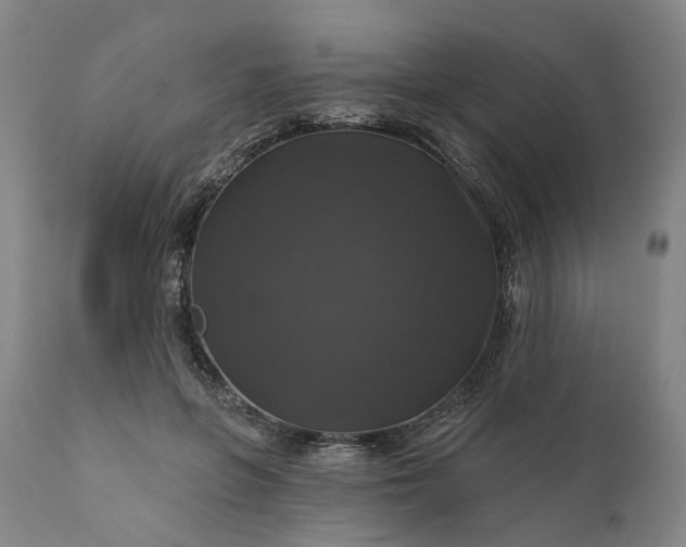 X0000111200551200907151416