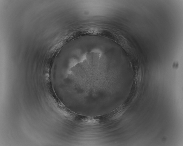 X0000111200553200907151416