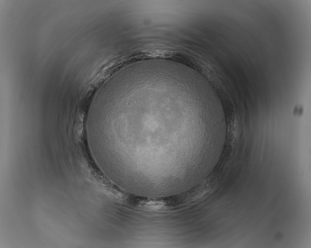 X0000111200554200907151416