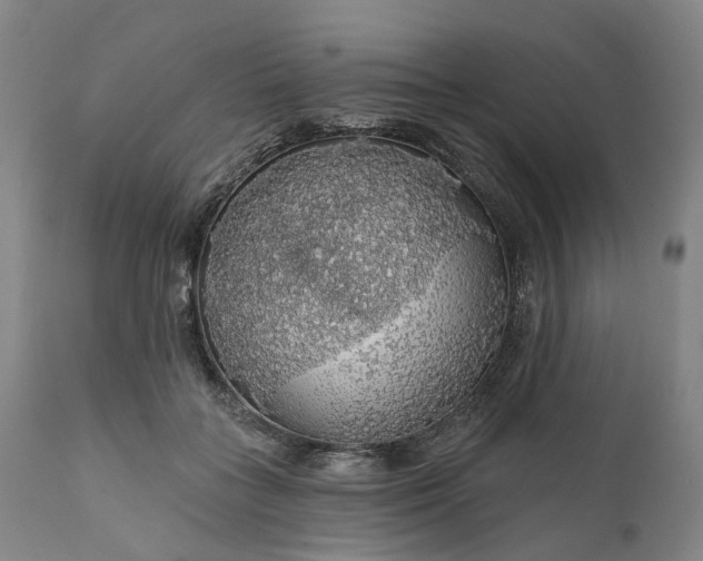 X0000111200555200907151416