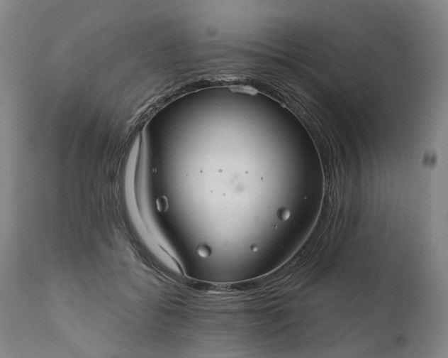 X0000111200556200907151416