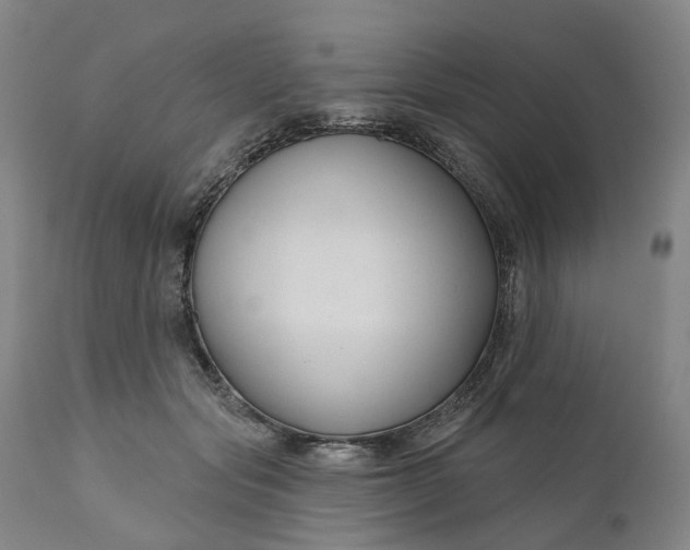 X0000111200557200907151416