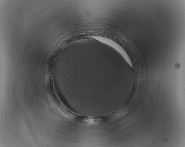 X0000111200558200907151416