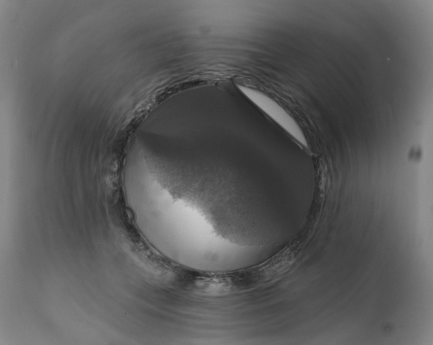 X0000111200559200907151416