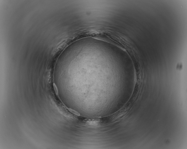 X0000111200560200907151416