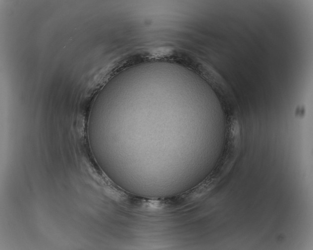 X0000111200565200907151416