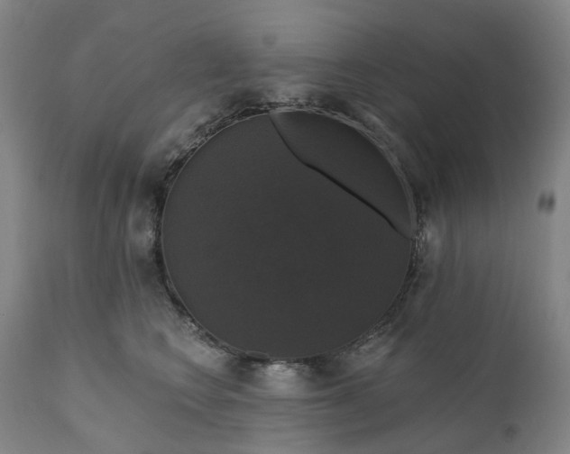 X0000111200566200907151416