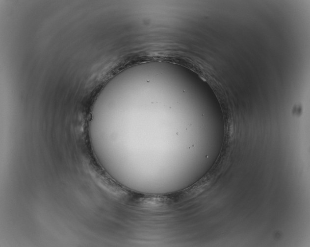 X0000111200567200907151416