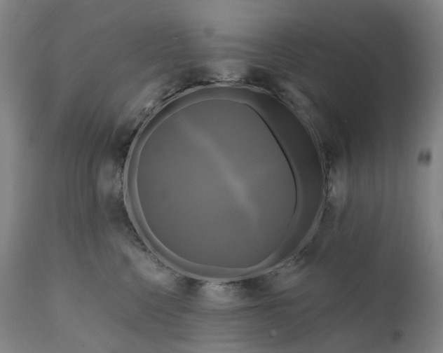 X0000111200568200907151416