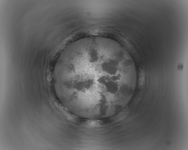 X0000111200569200907151416