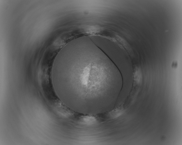 X0000111200572200907151416