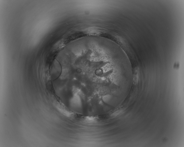 X0000111200573200907151416