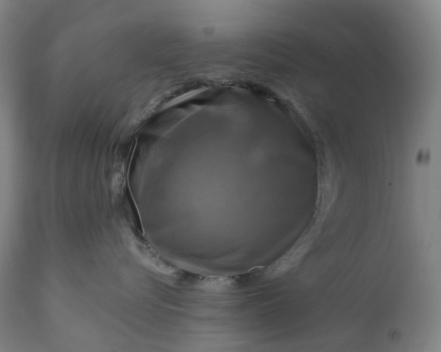 X0000111200576200907151416