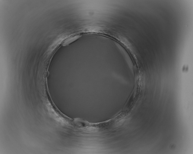 X0000111200577200907151415