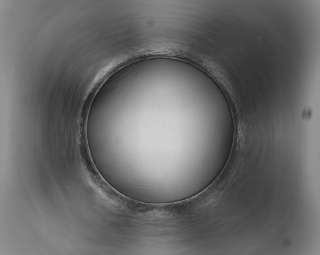 X0000111200578200907151415