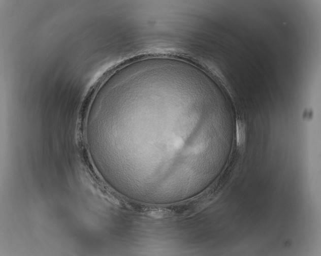 X0000111200579200907151415