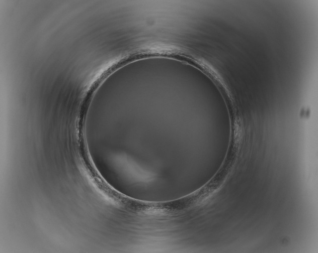 X0000111200581200907151415