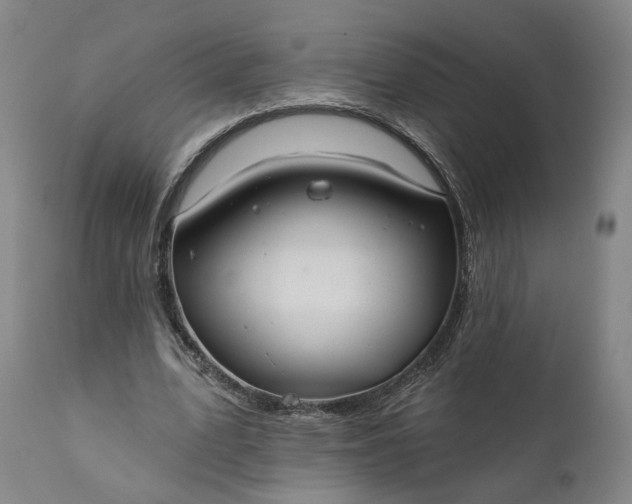 X0000111200583200907151415