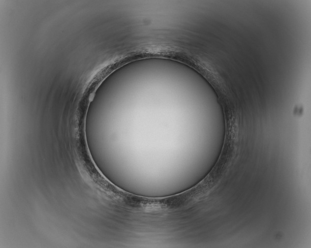 X0000111200587200907151415