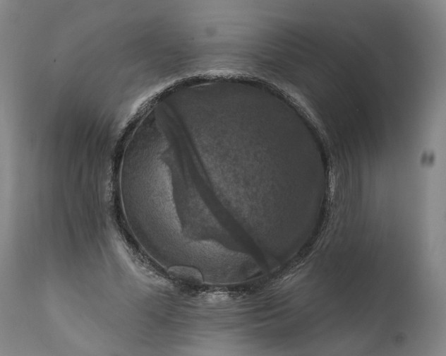 X0000111200588200907151415