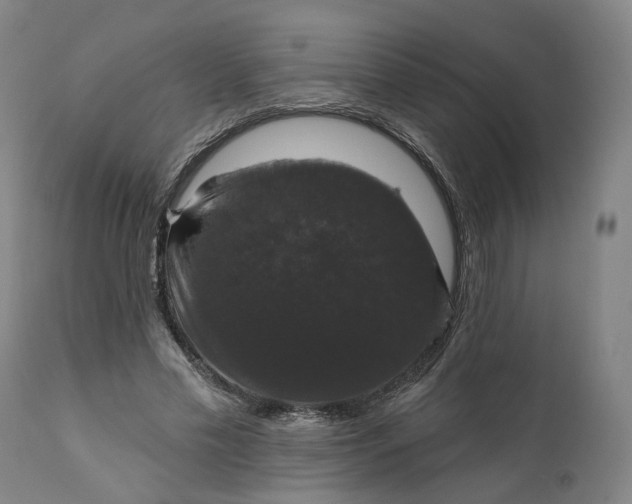 X0000111200589200907151415