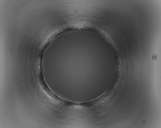 X0000111200590200907151415