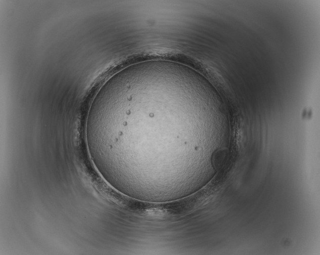 X0000111200591200907151415