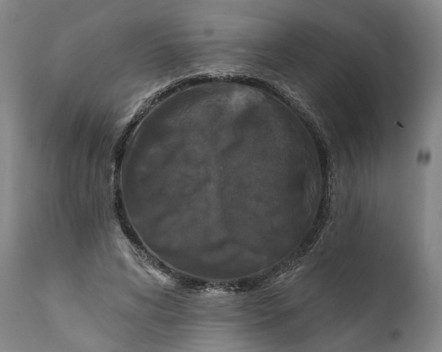 X0000111200592200907151415