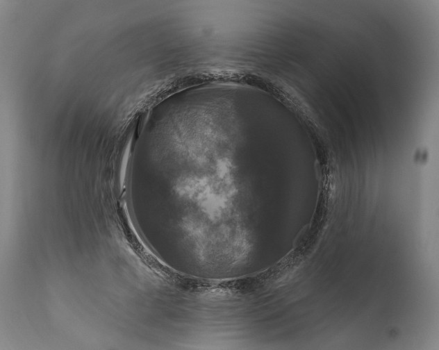 X0000111200593200907151415