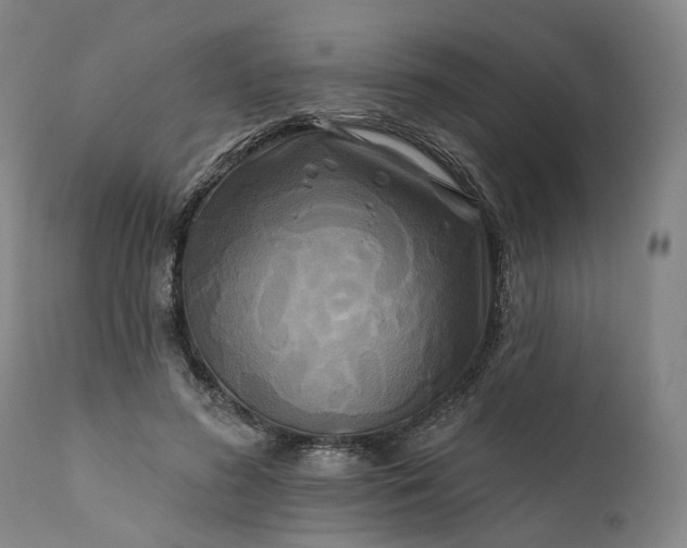 X0000111200596200907151415