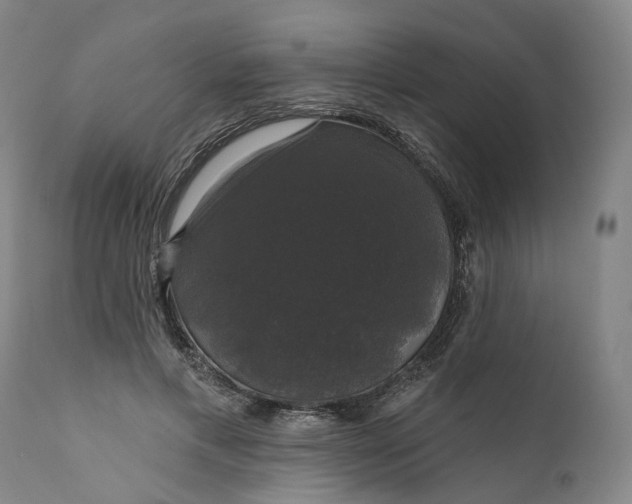 X0000111200597200907151415