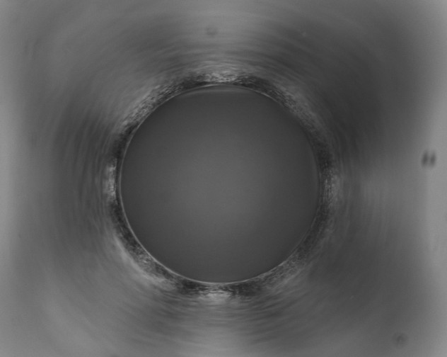 X0000111200598200907151415