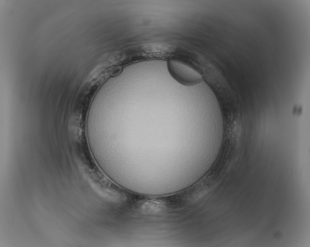 X0000111200599200907151415