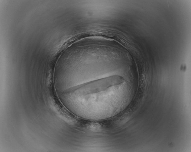 X0000111200600200907151415