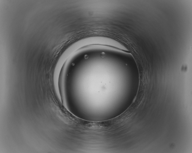 X0000111200601200907151415