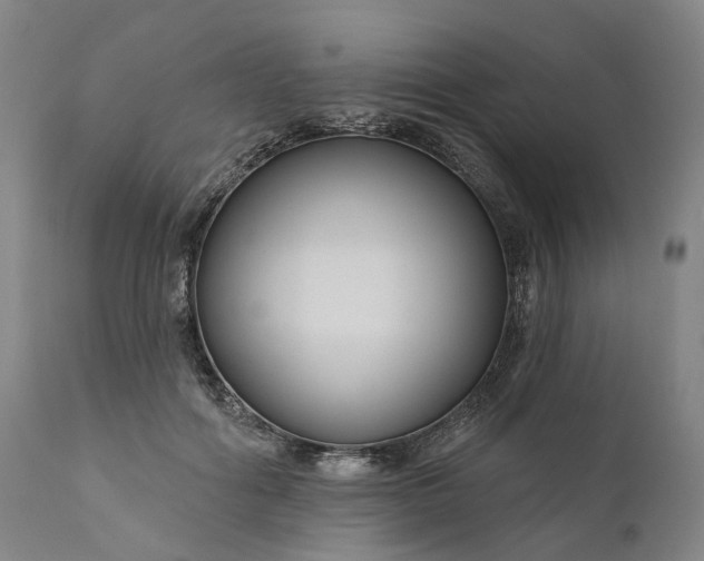 X0000111200602200907151415