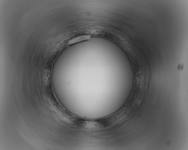 X0000111200605200907151415