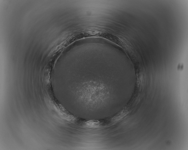 X0000111200606200907151415