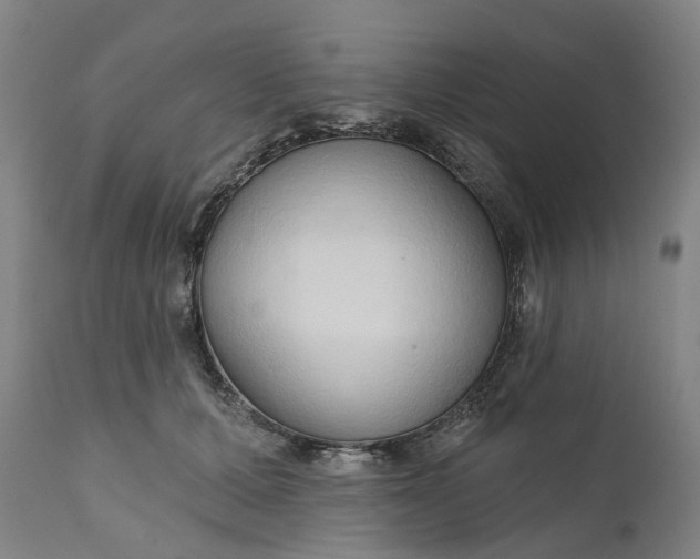 X0000111200607200907151415