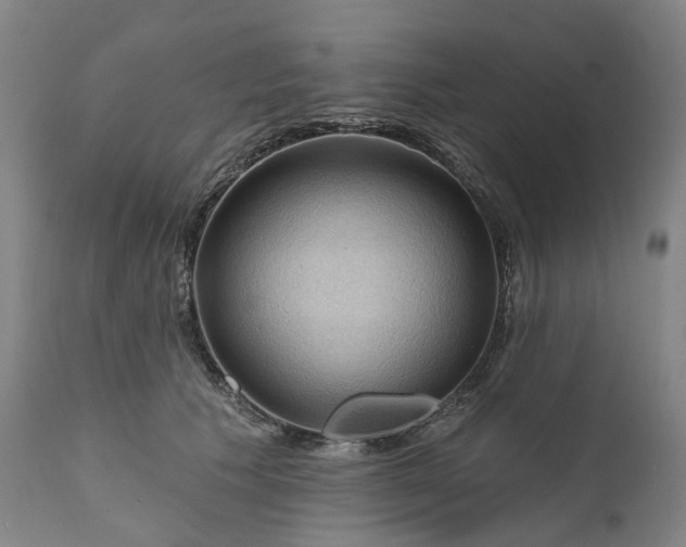 X0000111200609200907151415