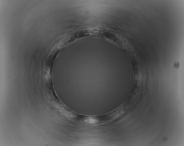 X0000111200610200907151415