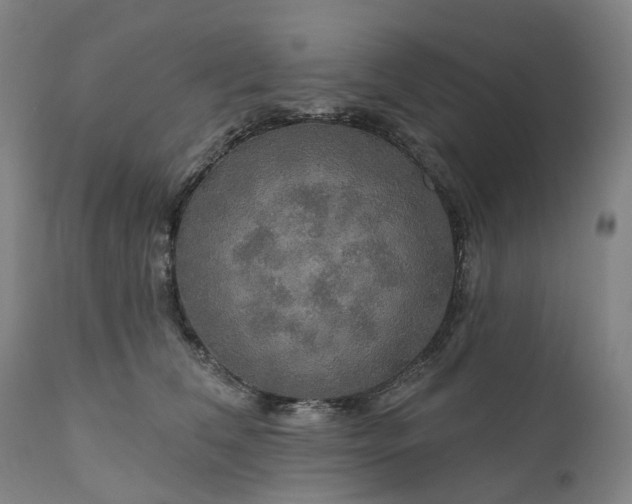 X0000111200612200907151415