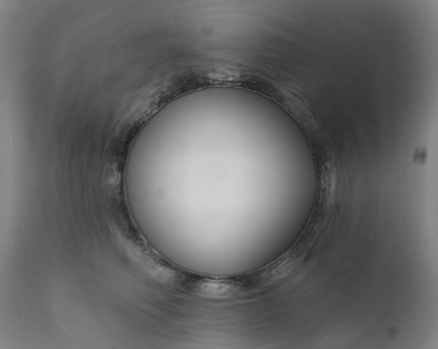 X0000111200614200907151415