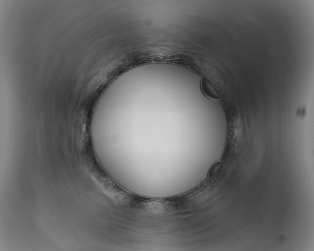 X0000111200615200907151415