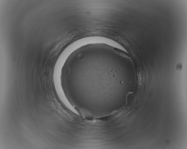 X0000111200617200907151415