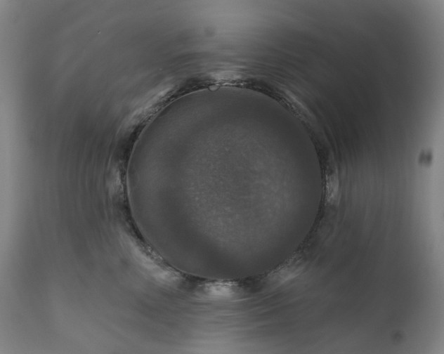 X0000111200618200907151415