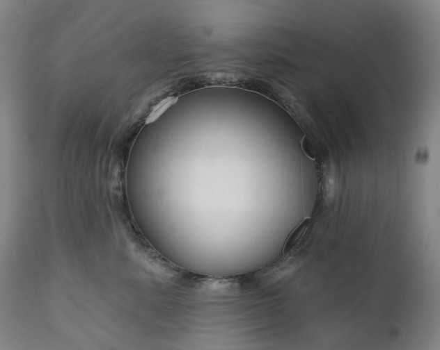 X0000111200619200907151415